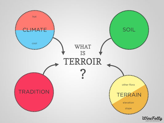 everybody's talking about terroir (but what on earth is this?)