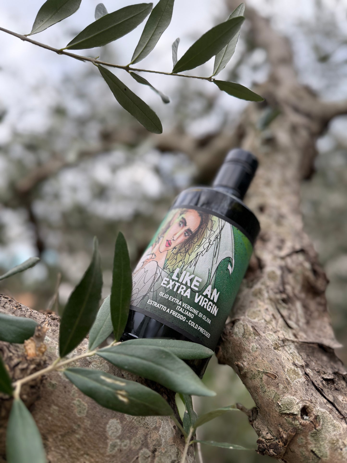 Olio Extra Vergine di Oliva Italiano 'Like an Extra Virgin' 2025, 0,5lt.