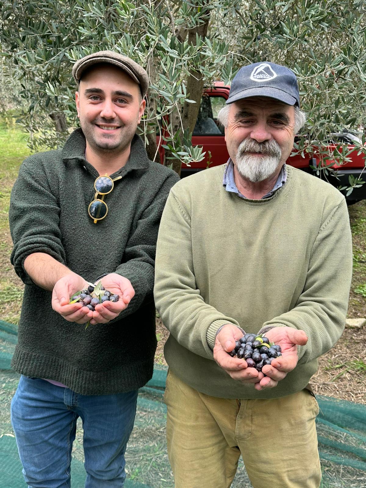 Olio Extra Vergine di Oliva Italiano 'Like an Extra Virgin' 2025, 0,5lt.