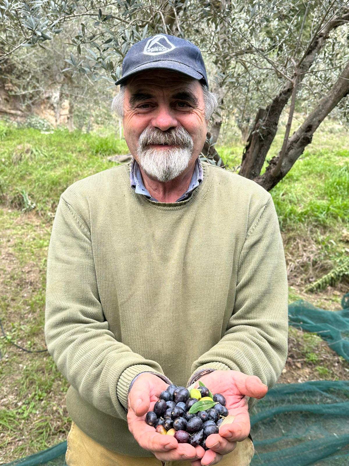 Olio Extra Vergine di Oliva Italiano 'Like an Extra Virgin' 2025, 0,5lt.