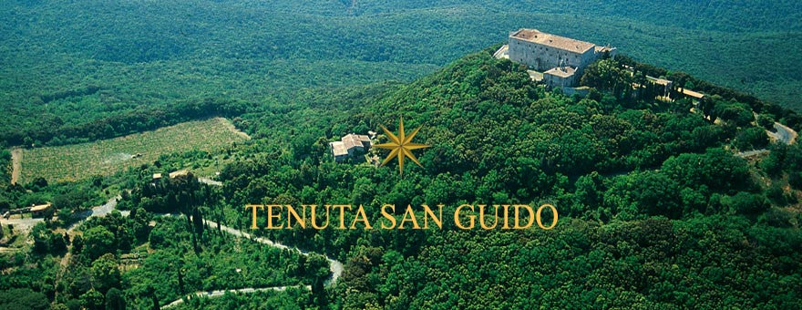 Tenuta San Guido Sassicaia Doc 2015